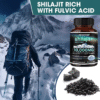 Himalaya Original Pure Shilajit Capsules