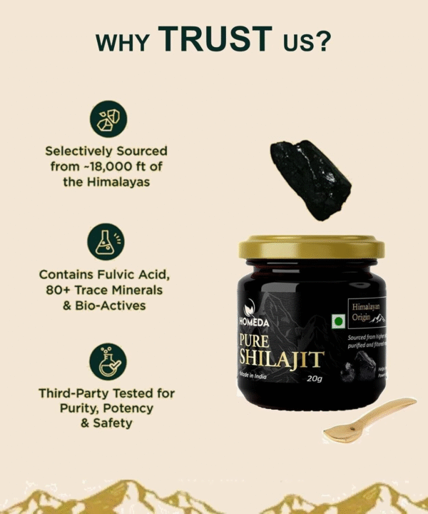 Shilajit Resin Himalayan 100% Pure 20 G