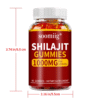 Shilajit Gummies