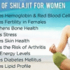 Pure 100% Himalayan Shilajit, Soft Resin