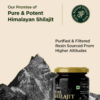 Shilajit Resin Himalayan 100% Pure 20 G