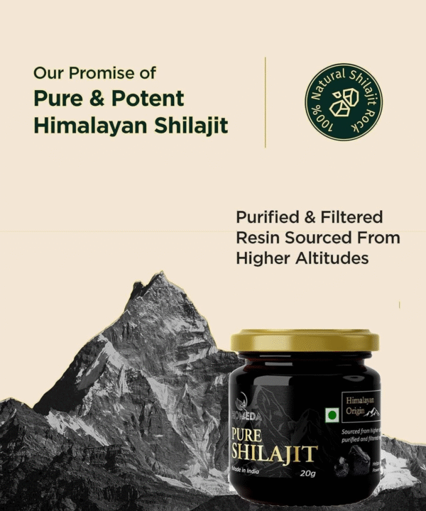 Shilajit Resin Himalayan 100% Pure 20 G