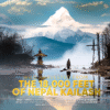 Himalayan Shilajit Resin Supplements