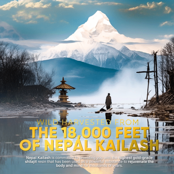 Himalayan Shilajit Resin Supplements
