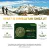 Himalayan Shilajit Resin Supplements