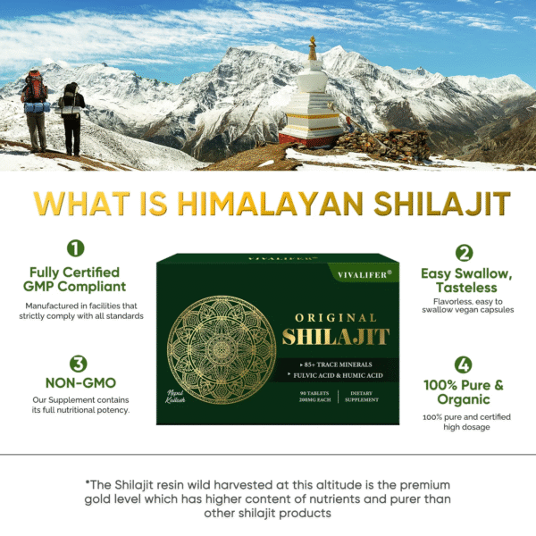 Himalayan Shilajit Resin Supplements