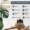 Beau 600Mg Shilajit Supplement