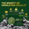 Himalayan Shilajit Resin Supplements