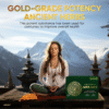 Himalayan Shilajit Resin Supplements