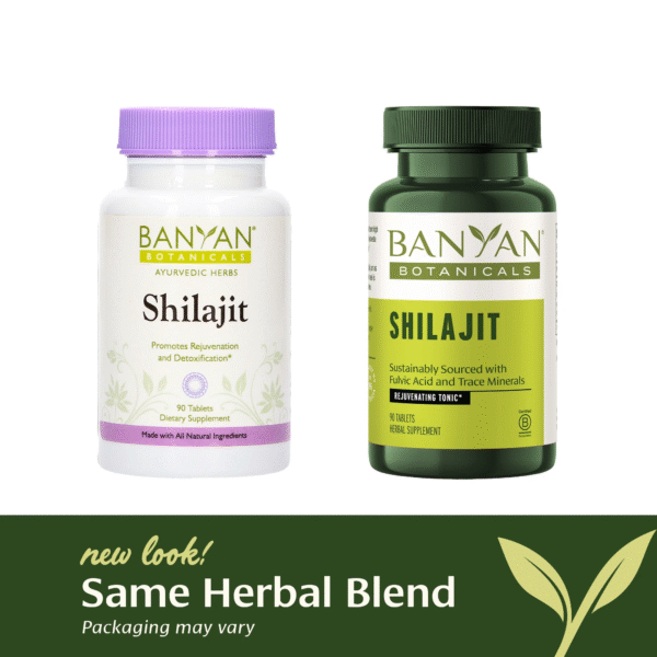 Shilajit – Organic and Sustainable Mineral Pitch