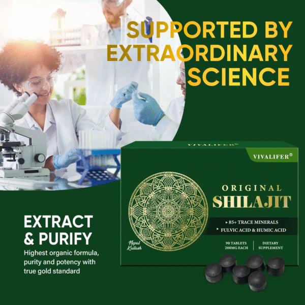 Himalayan Shilajit Resin Supplements