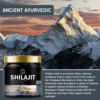 Beau 600Mg Shilajit Supplement