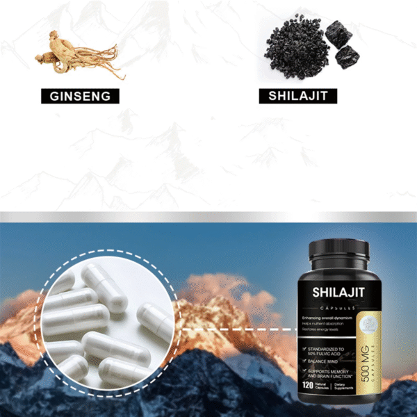 Shilajit Supplement 500Mg, 120 Vegan Capsules for Unisex